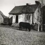 hus