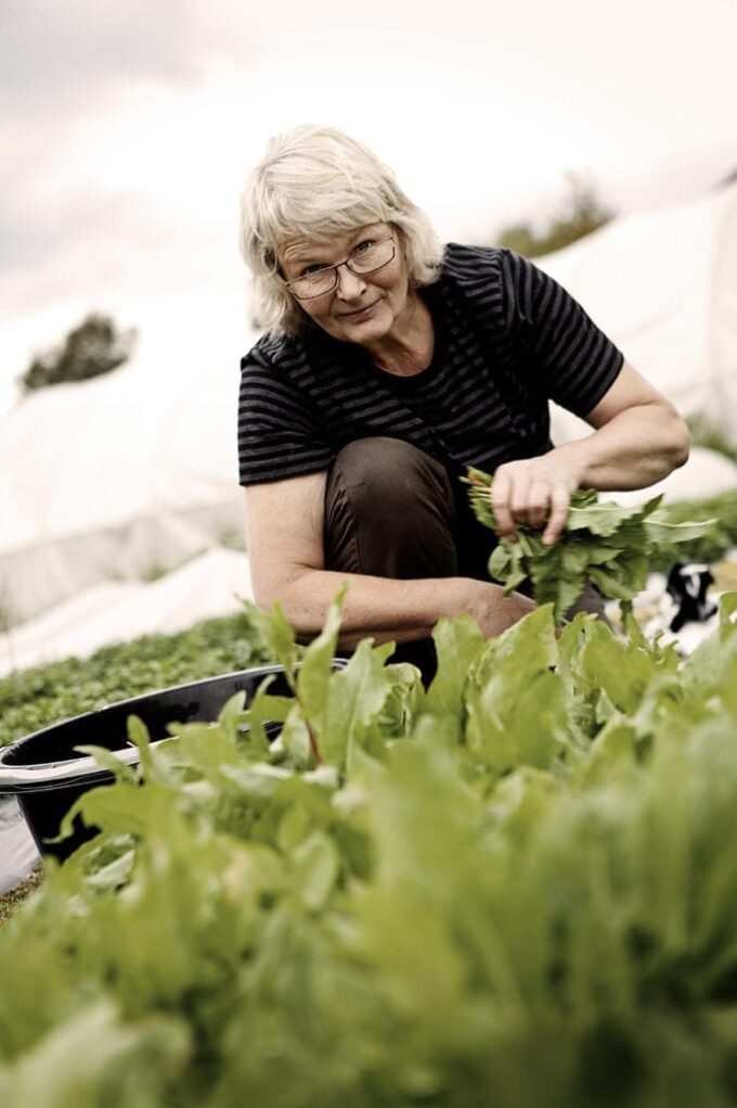 Gunhild fra Fjellurt Foto: Marius Rua