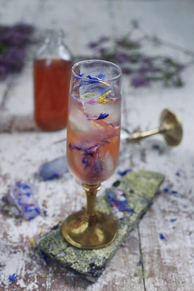 iste_Foto:Marius Rua iste_Foto:Marius Rua