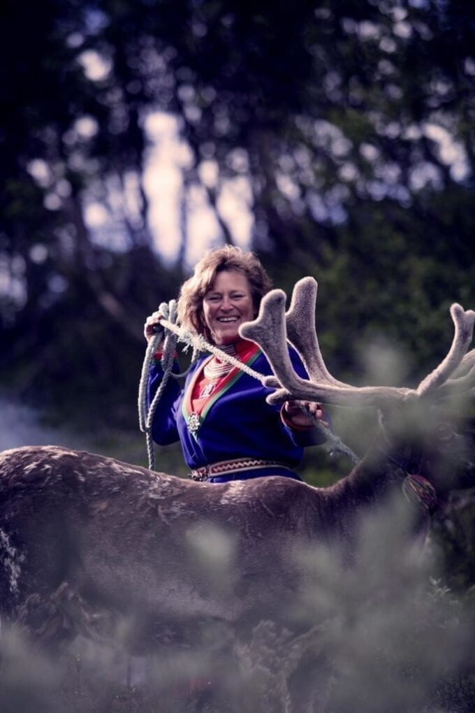 Rørosrein Foto: Tom Gustavsen Rørosrein Foto: Tom Gustavsen