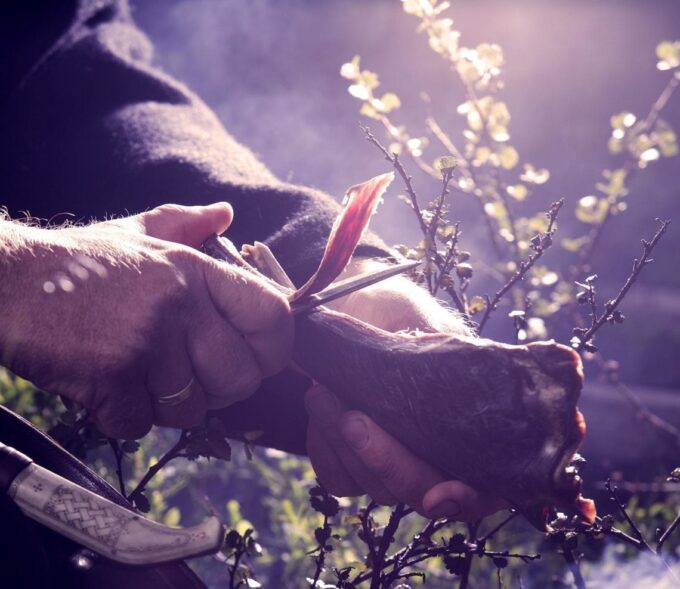 Rørosrein Foto:Tom Gustavsen Rørosrein Foto:Tom Gustavsen